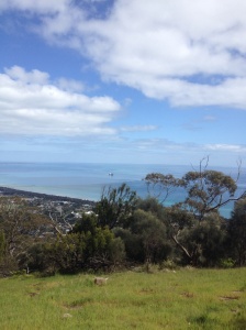View from Arthur's Seat on the Two Bays Trail near Dromana